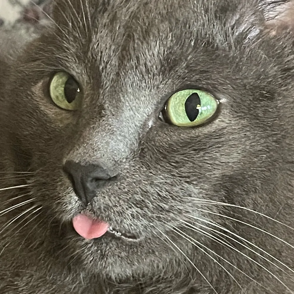 authordjmartin.com's profile picture