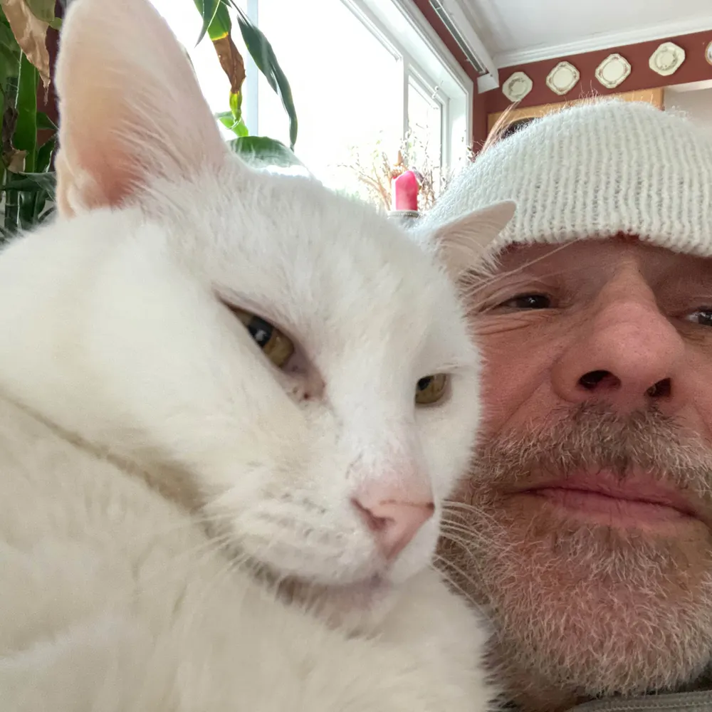 changegamer.bsky.social's profile picture