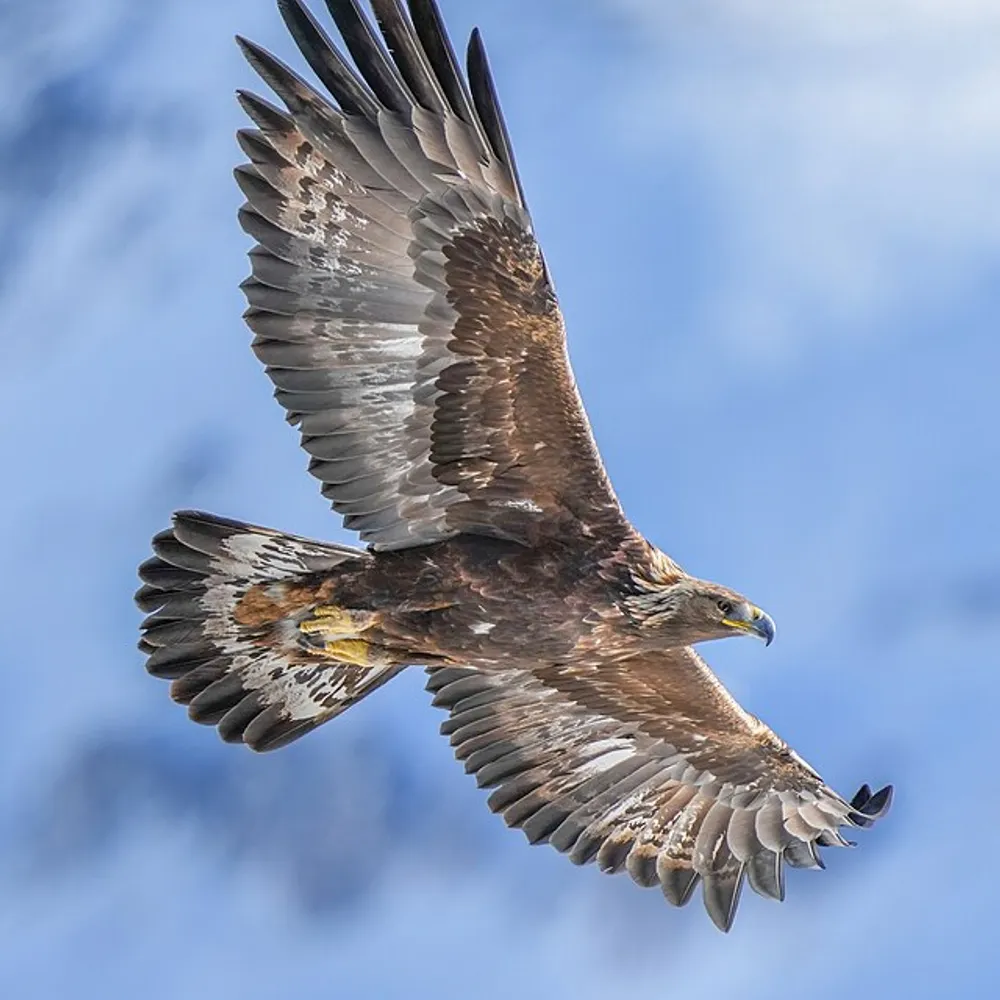 deeznotez.bsky.social's profile picture