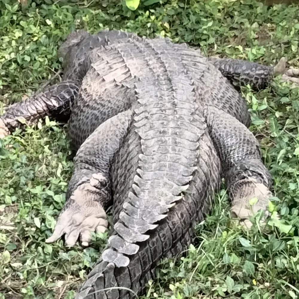 kieslowskifan1.bsky.social's profile picture