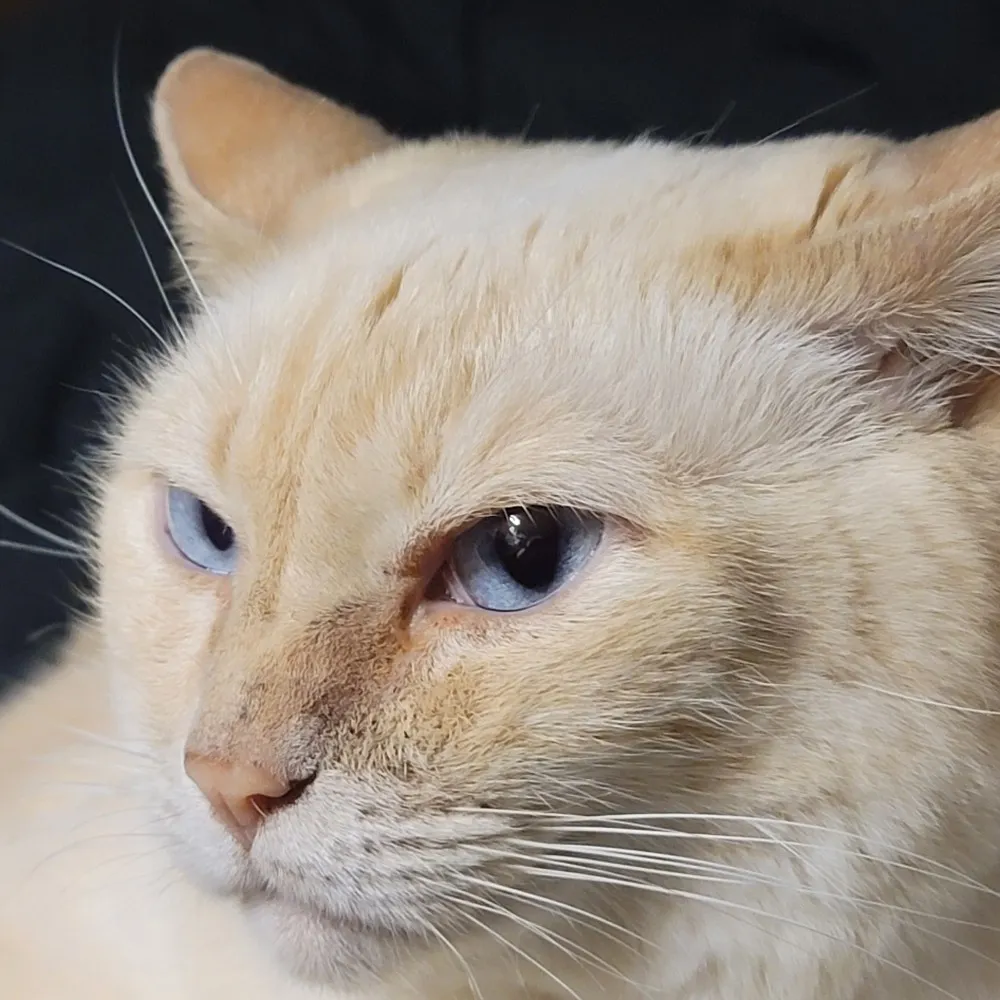 c5agalaxyforever.bsky.social's profile picture