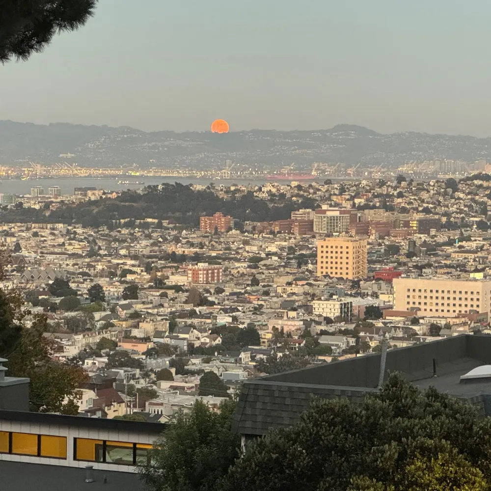 cjginsf.bsky.social's profile picture