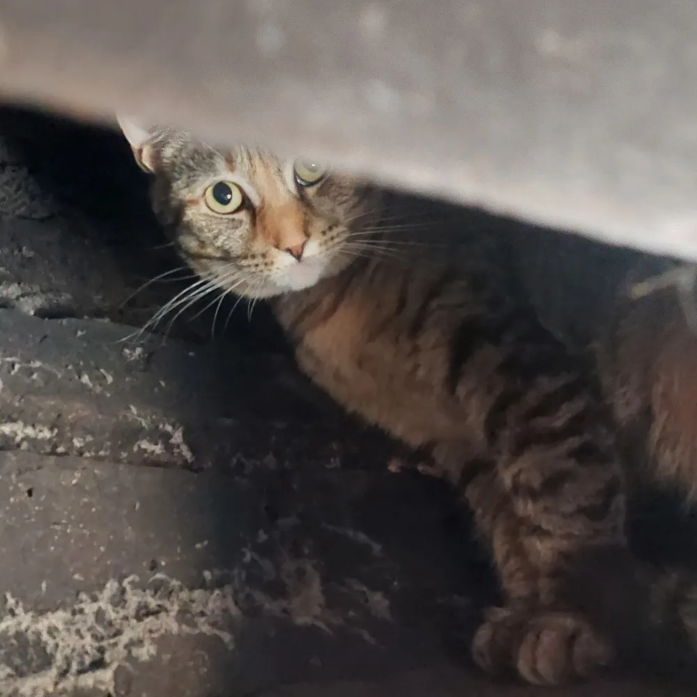 mcdaragh.bsky.social's profile picture