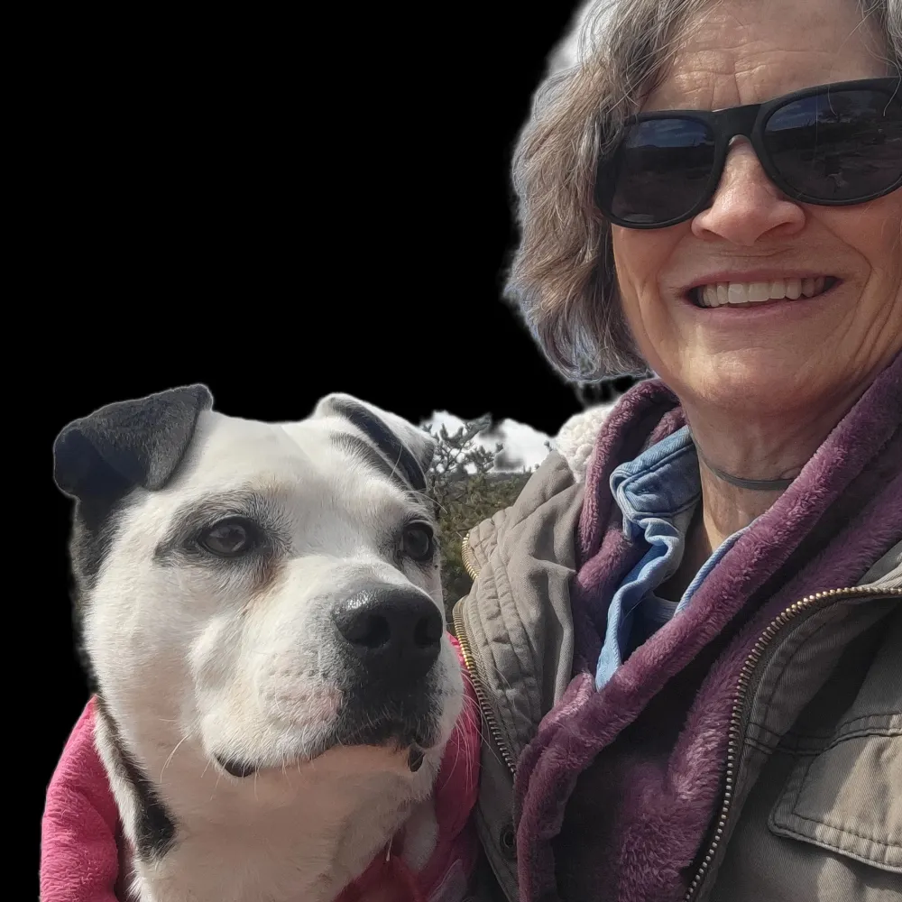 rethinkthewolf.bsky.social's profile picture