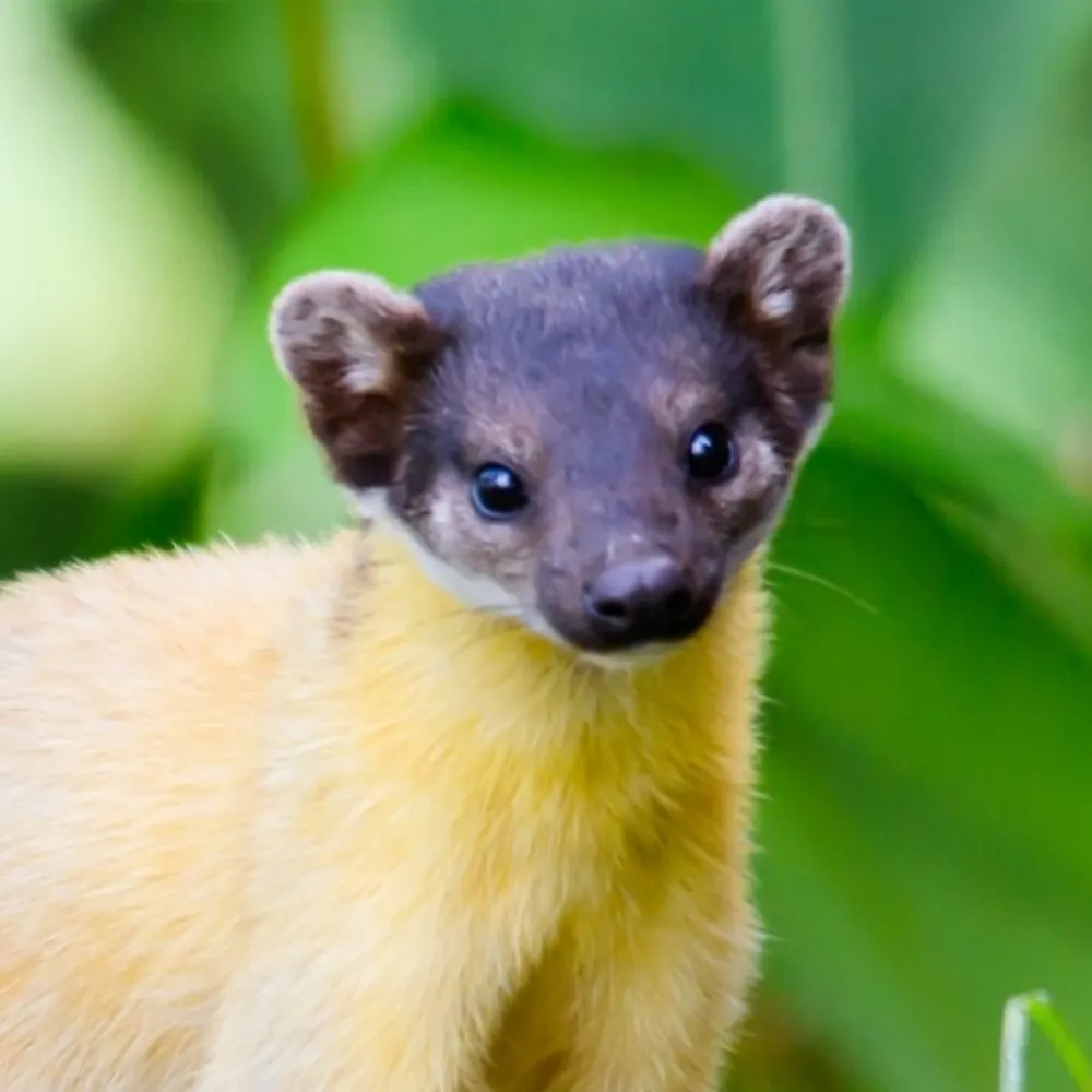 haplo36.bsky.social's profile picture