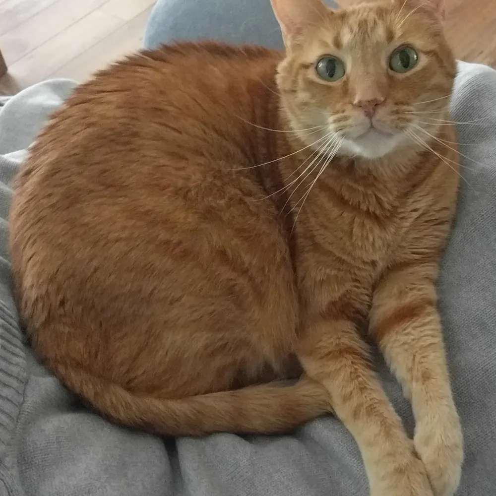 jaybryant.bsky.social's profile picture