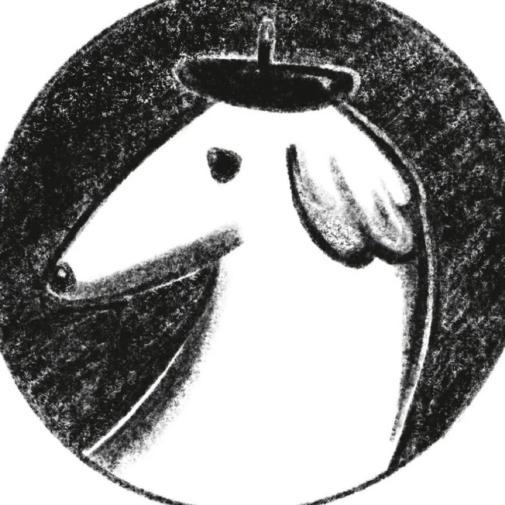 bonjourborzoi.bsky.social's profile picture