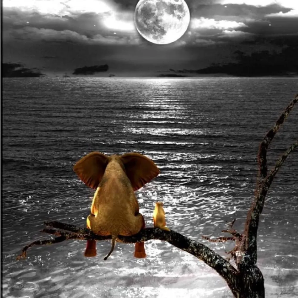 roo58.bsky.social's profile picture