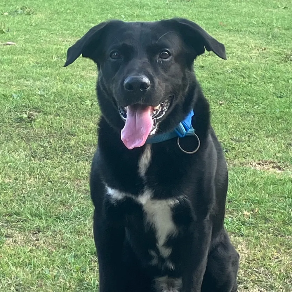 saltednuts.bsky.social's profile picture