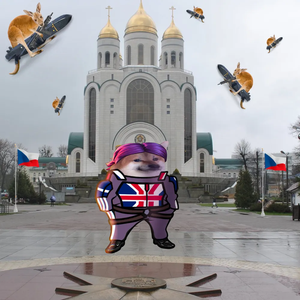 aminifer.eurosky.social's profile picture