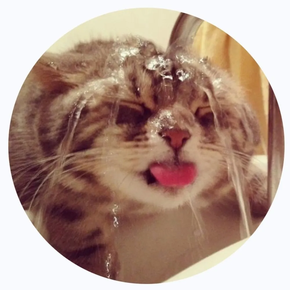 beeaditude.bsky.social's profile picture