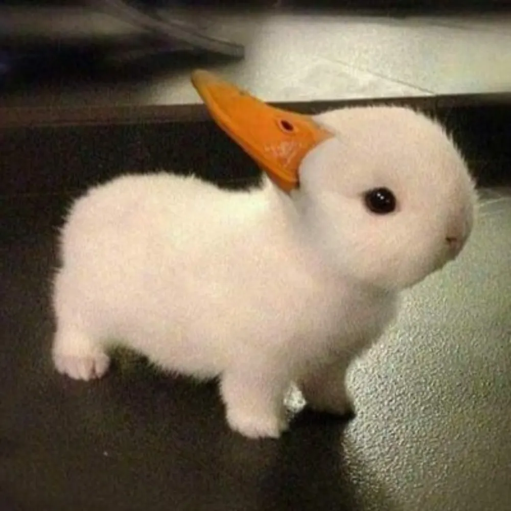 eddyrobinson.bsky.social's profile picture