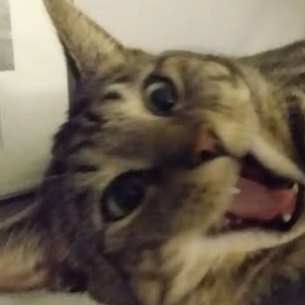 tobieonice.bsky.social's profile picture