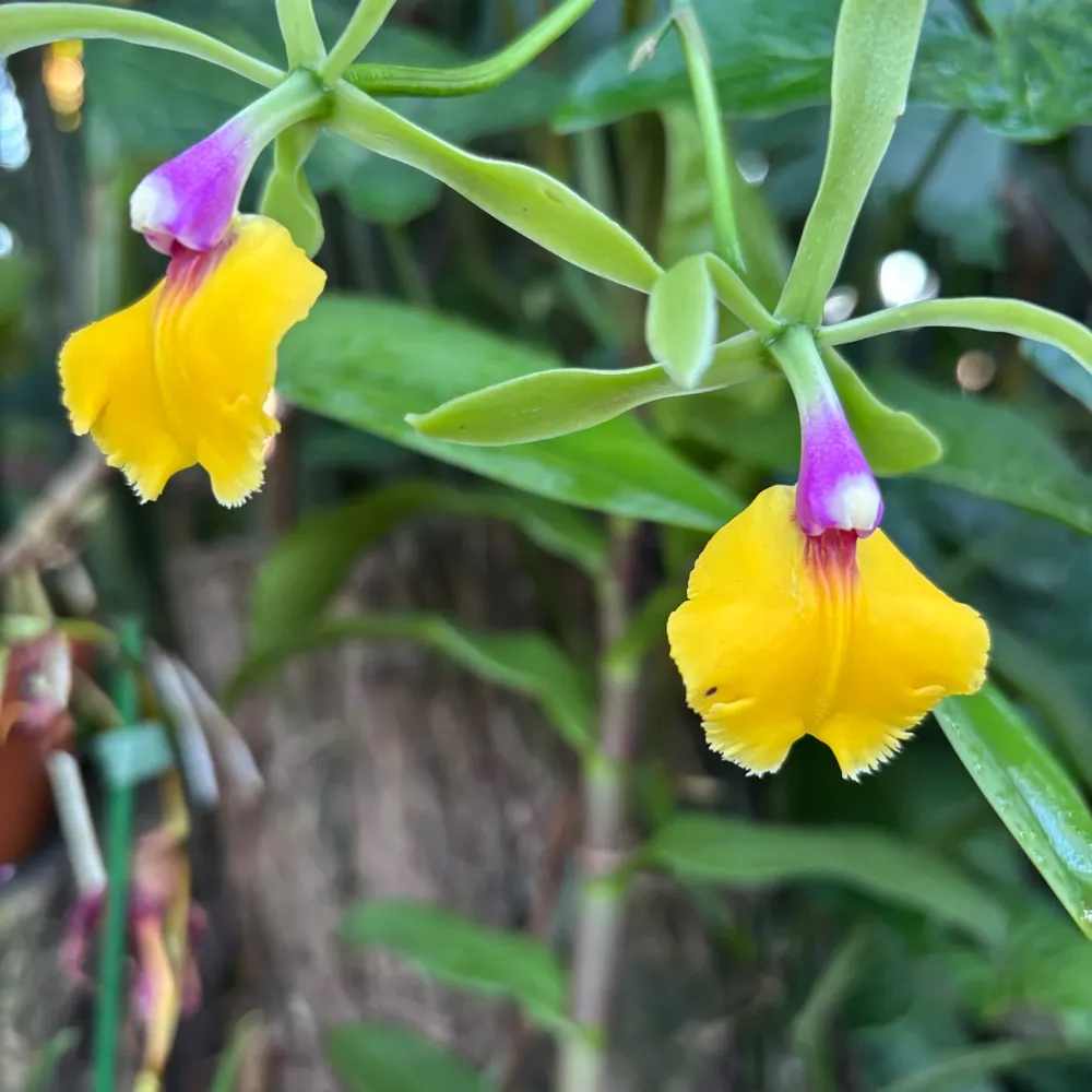 kesrith.bsky.social's profile picture