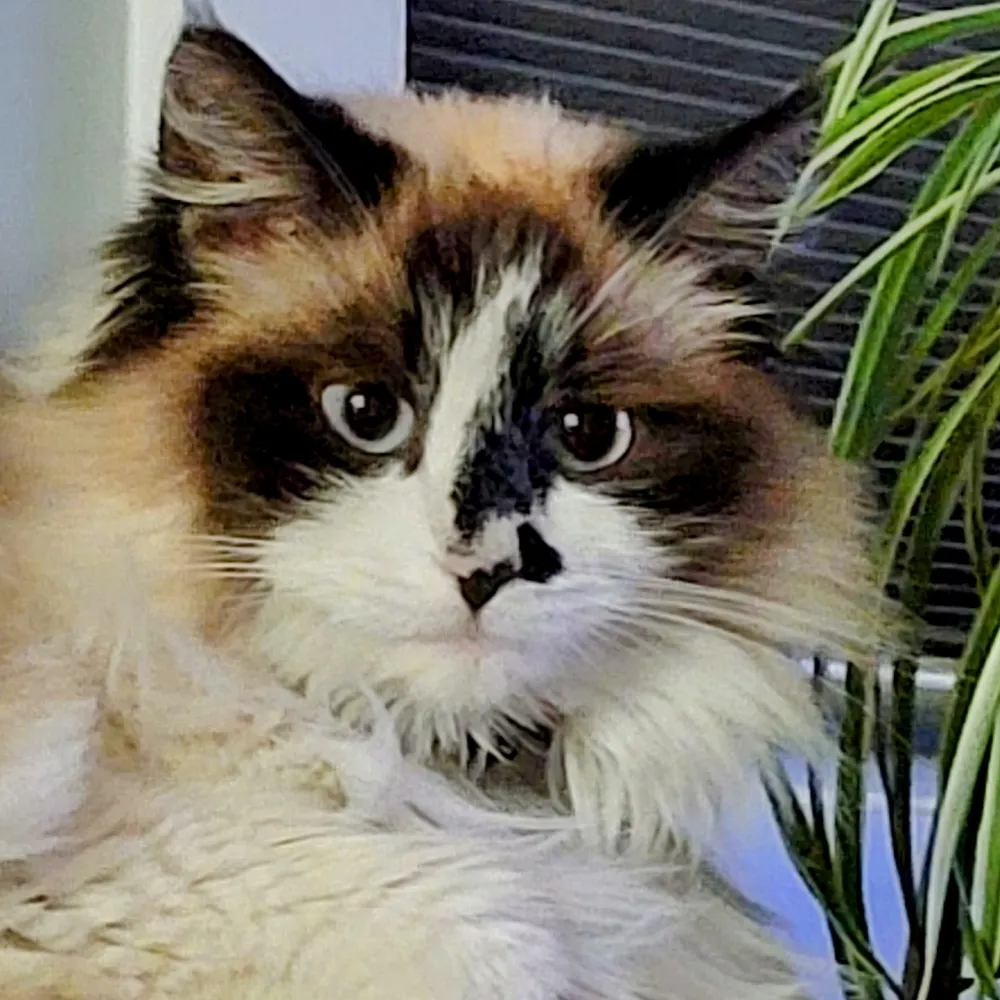 typhoon-64.bsky.social's profile picture