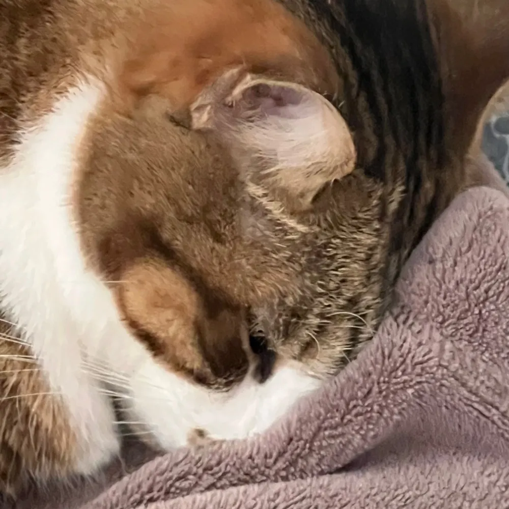 fprofrun.bsky.social's profile picture