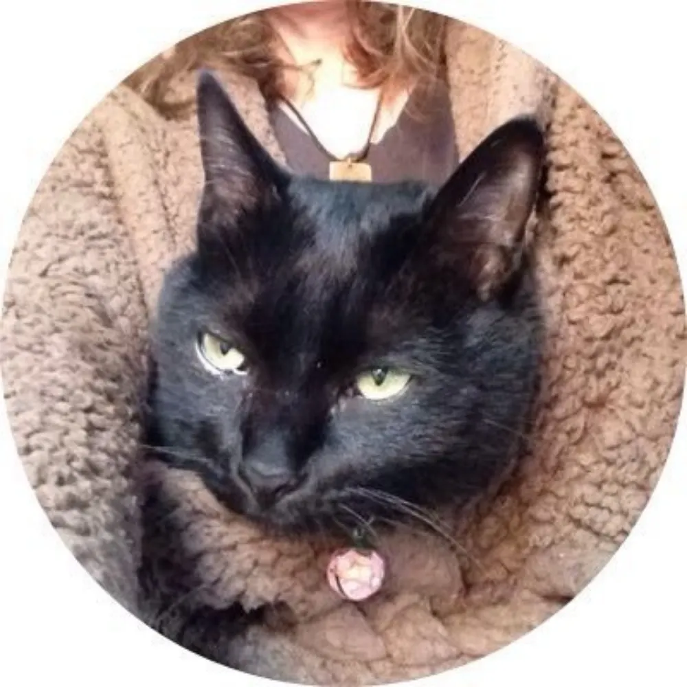 boendercarol.bsky.social's profile picture