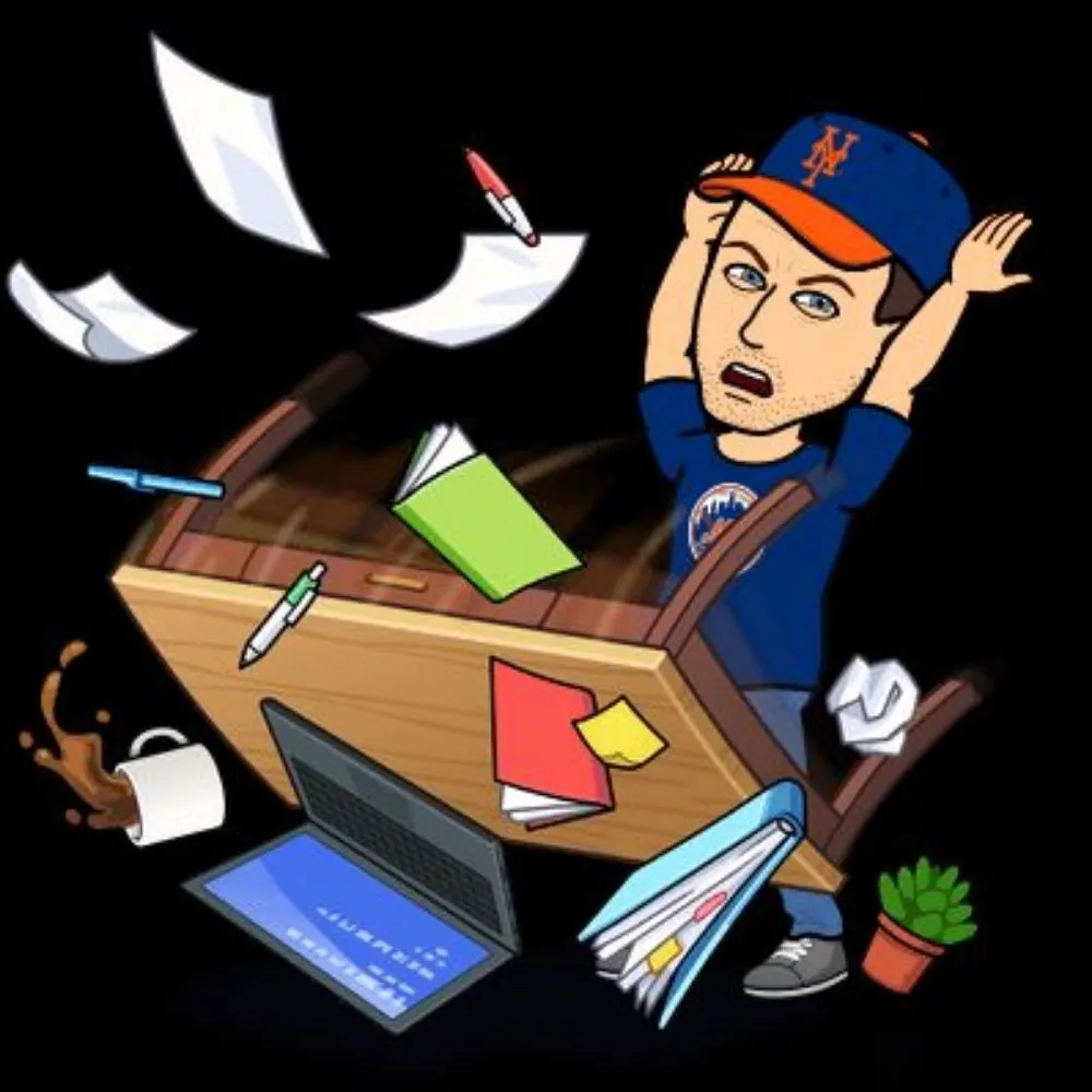 metsfan.lol's profile picture