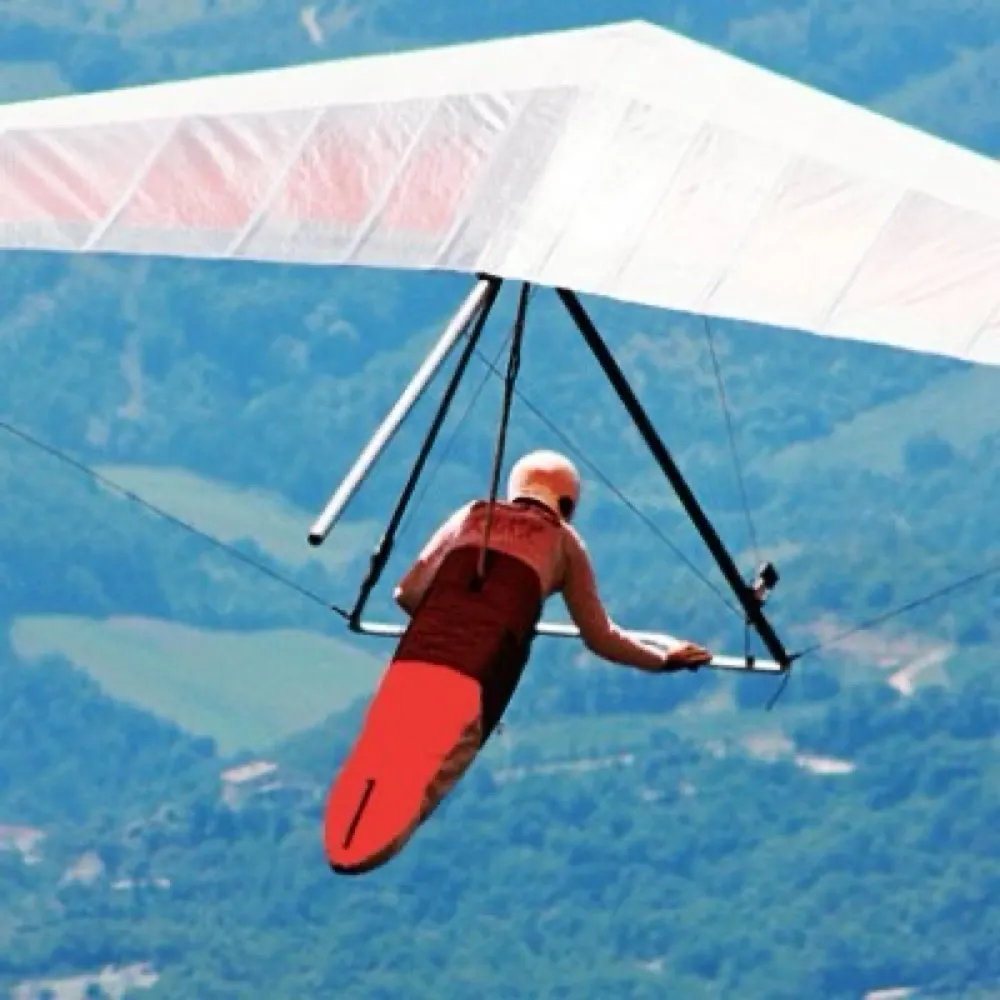 live1619.bsky.social's profile picture