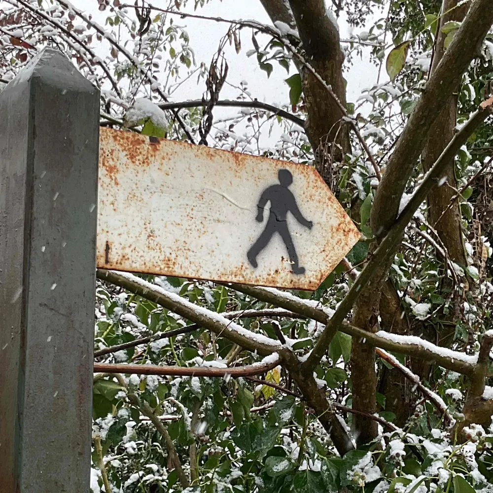 pacesinplaces.bsky.social's profile picture