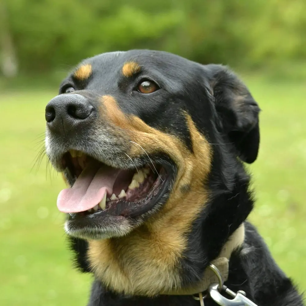 richardabrooks.bsky.social's profile picture