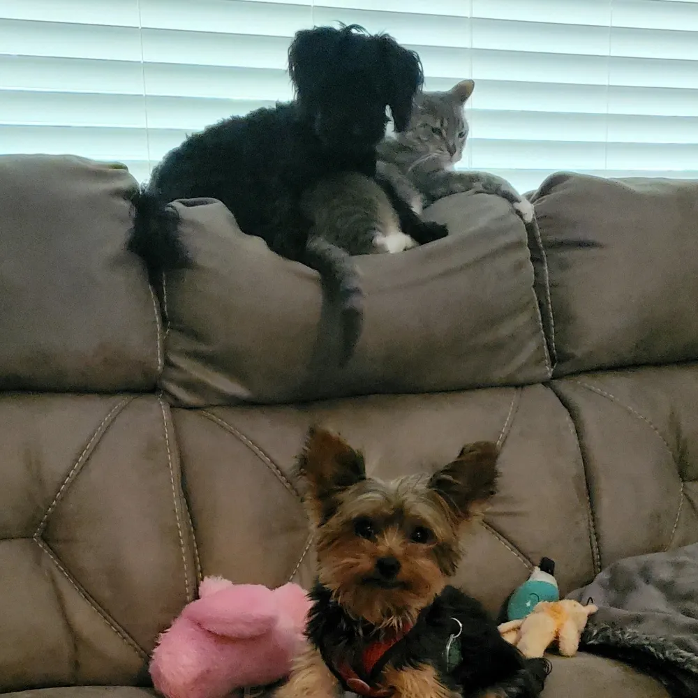 auntvicki50.bsky.social's profile picture