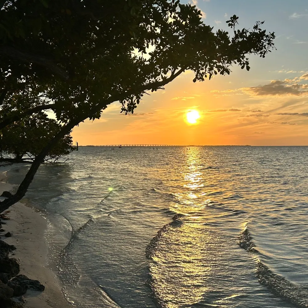 harleykahlua.bsky.social's profile picture