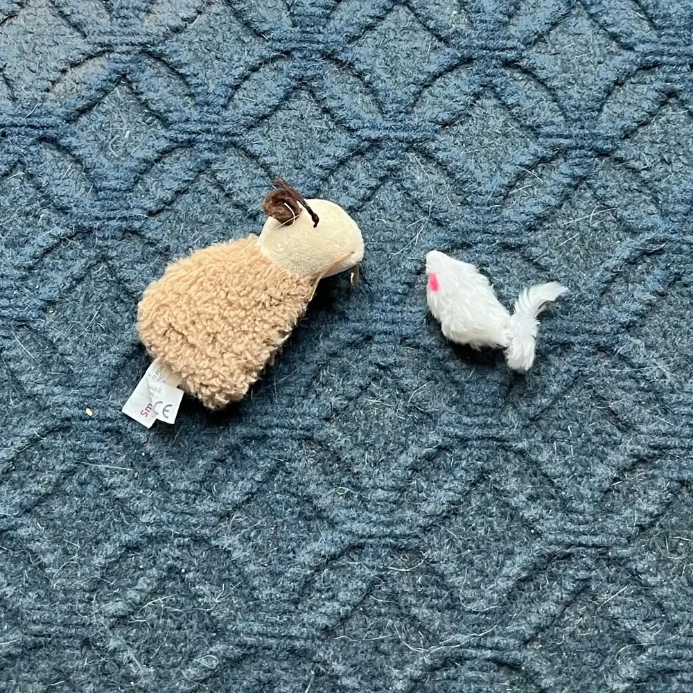 suhakliz.bsky.social's profile picture