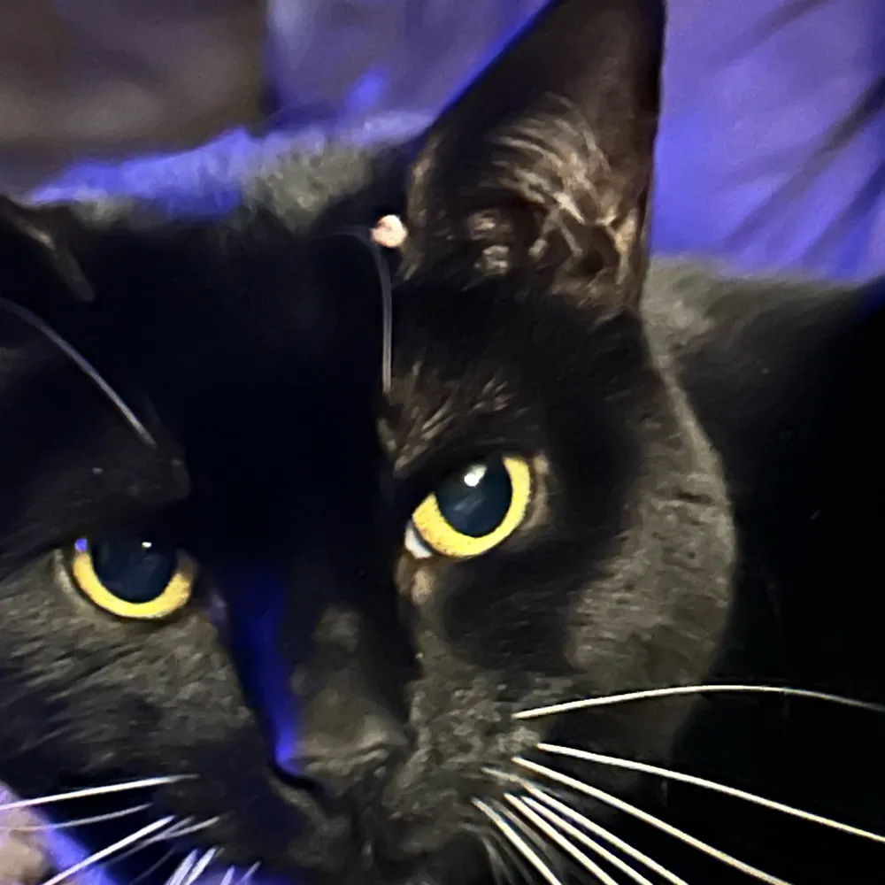 cheriek14.bsky.social's profile picture