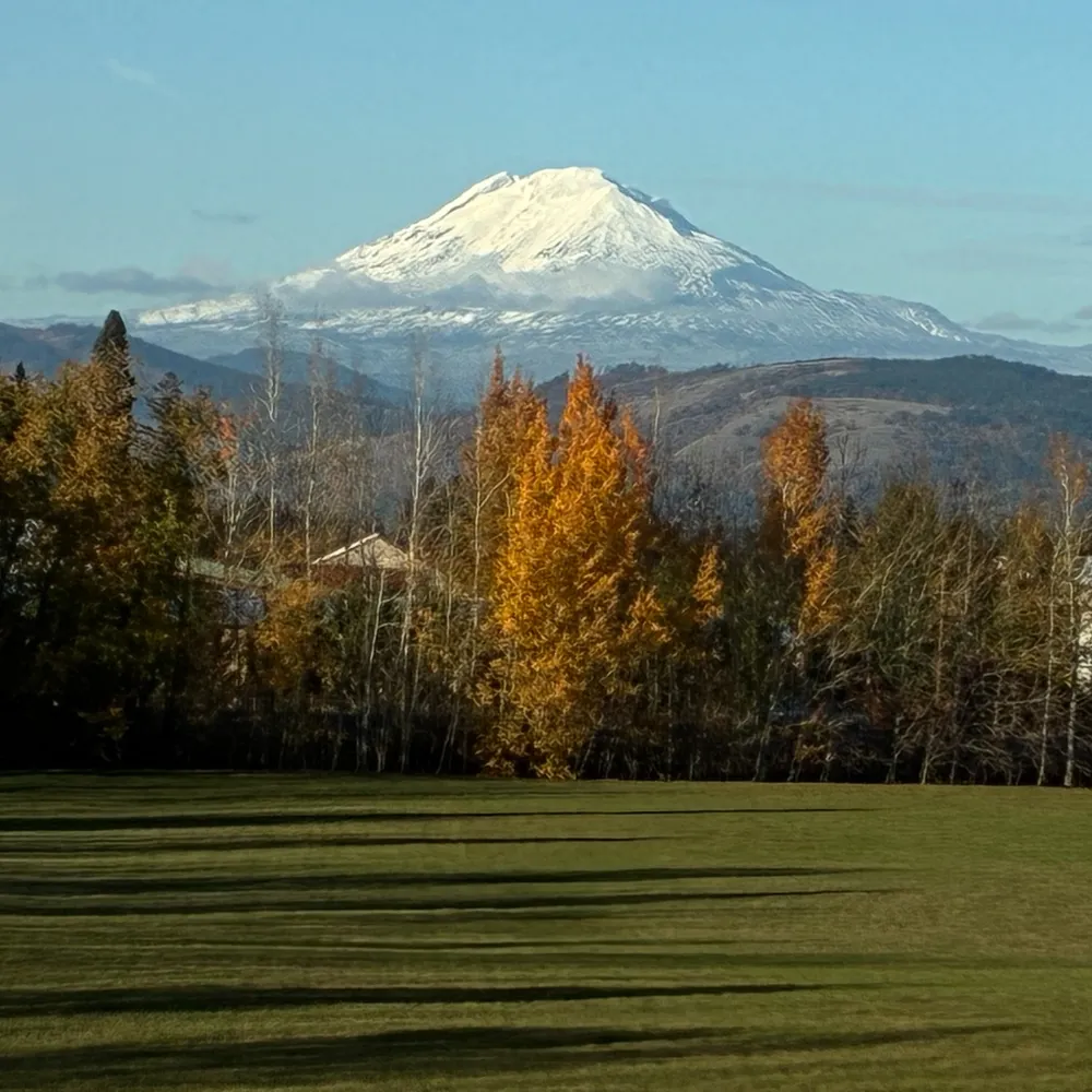 markwhittier.bsky.social's profile picture