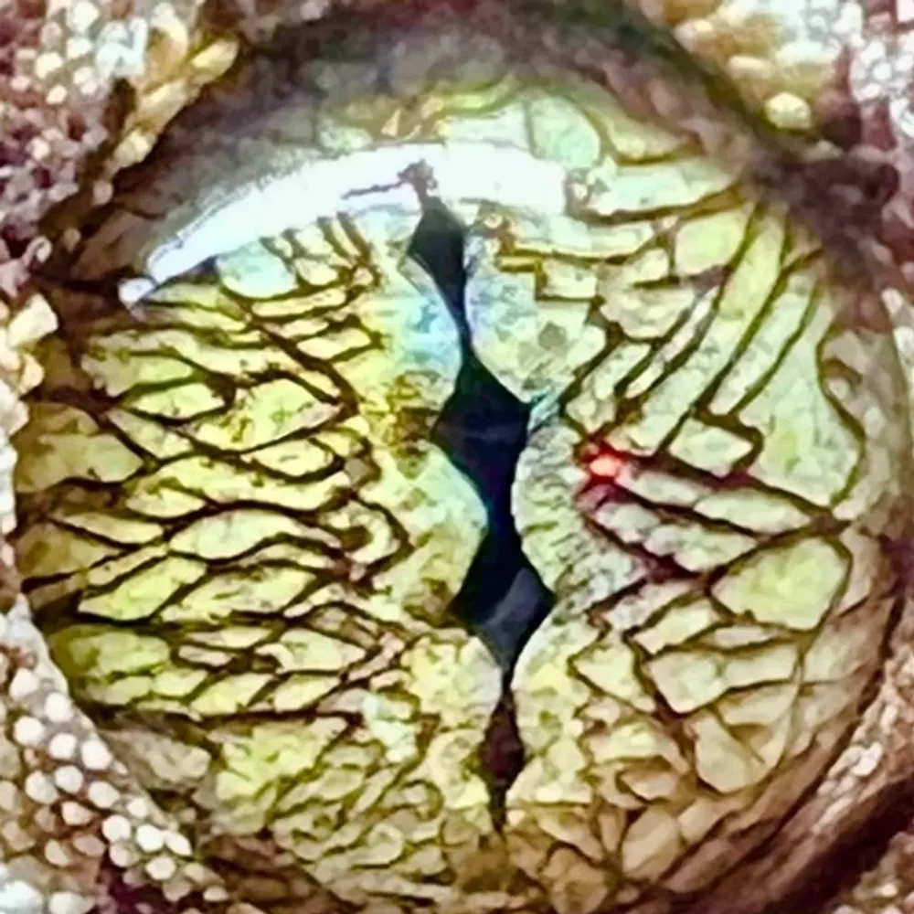 mathewhogbin.bsky.social's profile picture