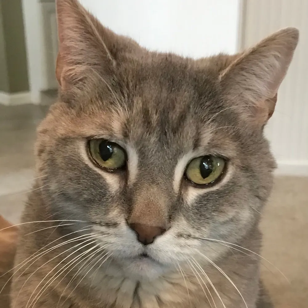 amymwb.bsky.social's profile picture