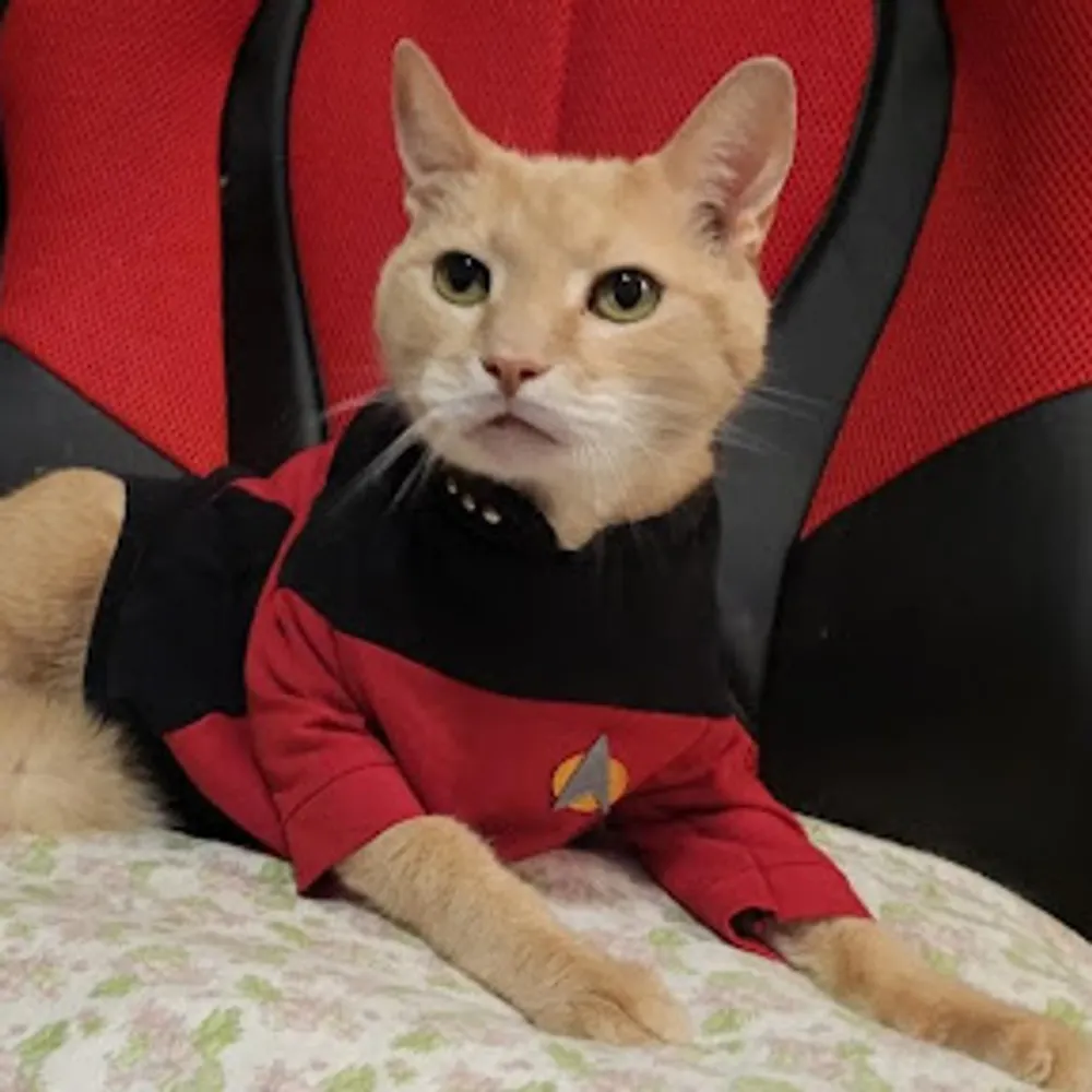 jenny753.fediiverse.net's profile picture