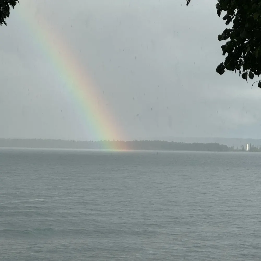 hamelinwanda.bsky.social's profile picture