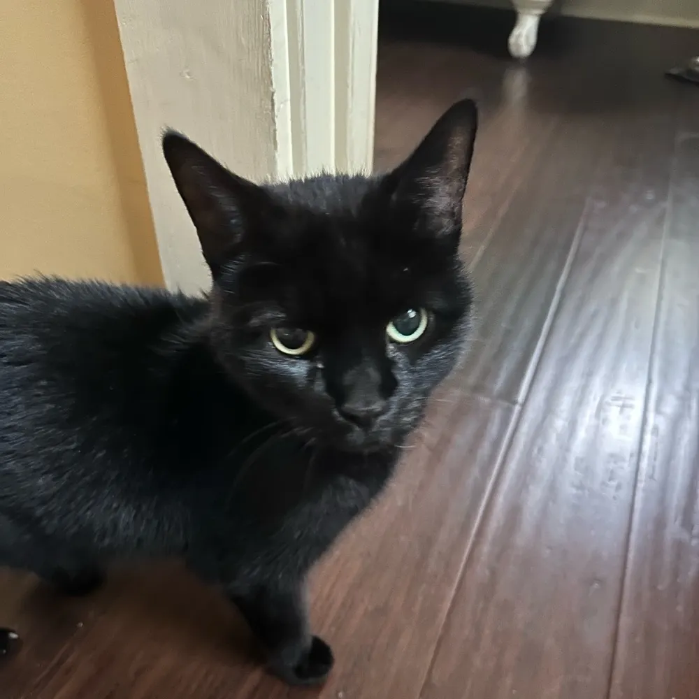 landscapes.bsky.social's profile picture