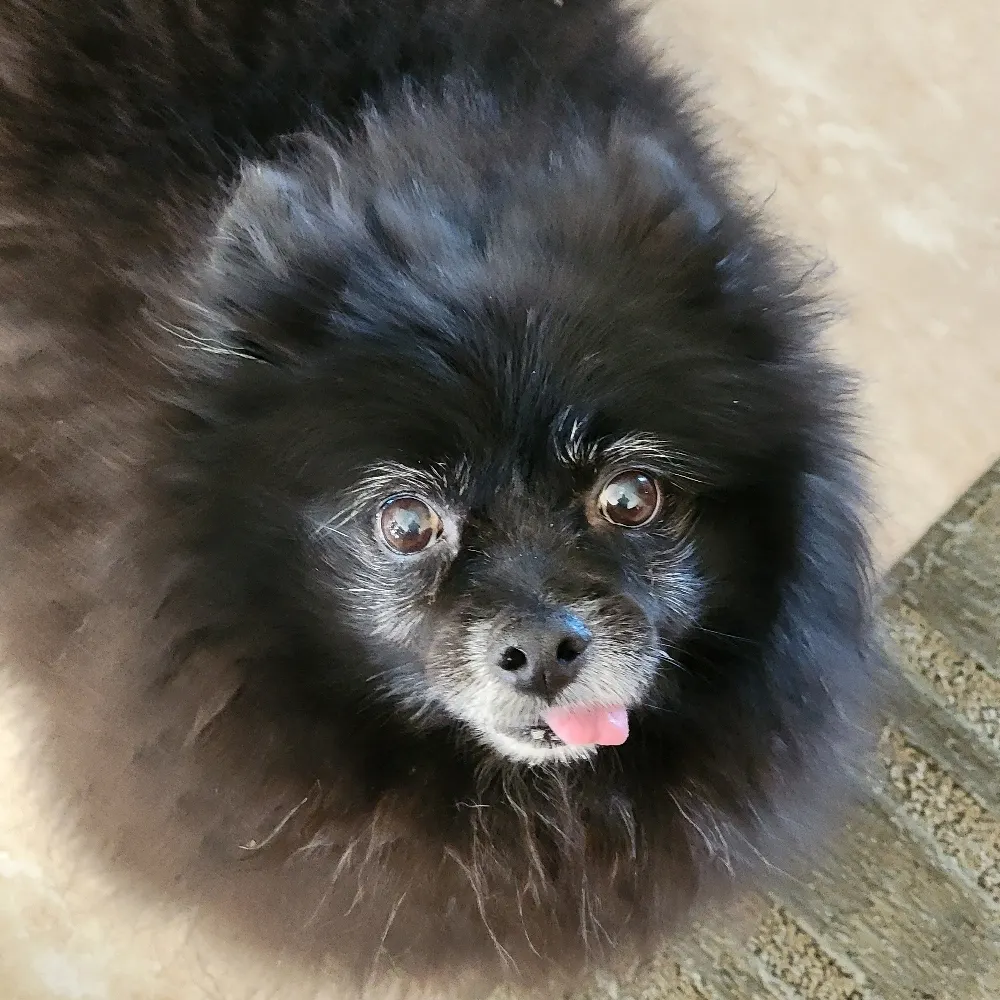 frickeville.bsky.social's profile picture