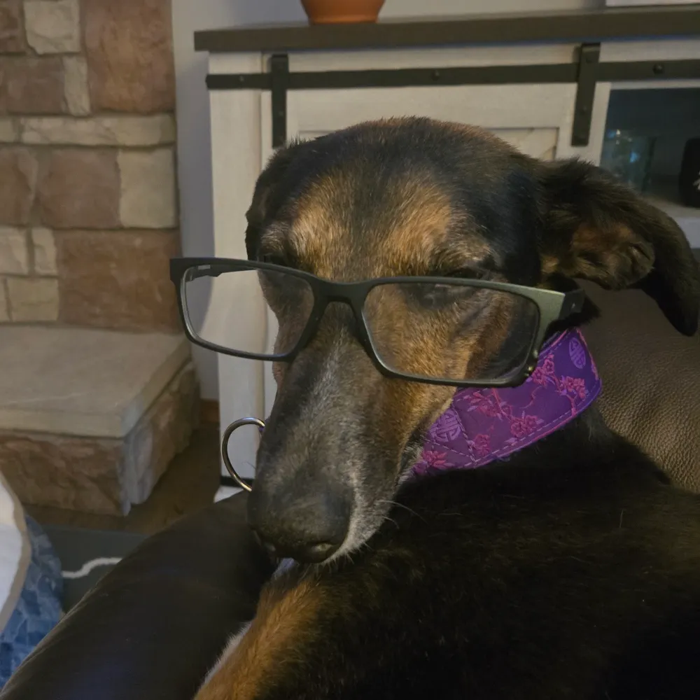 clintbob13.bsky.social's profile picture