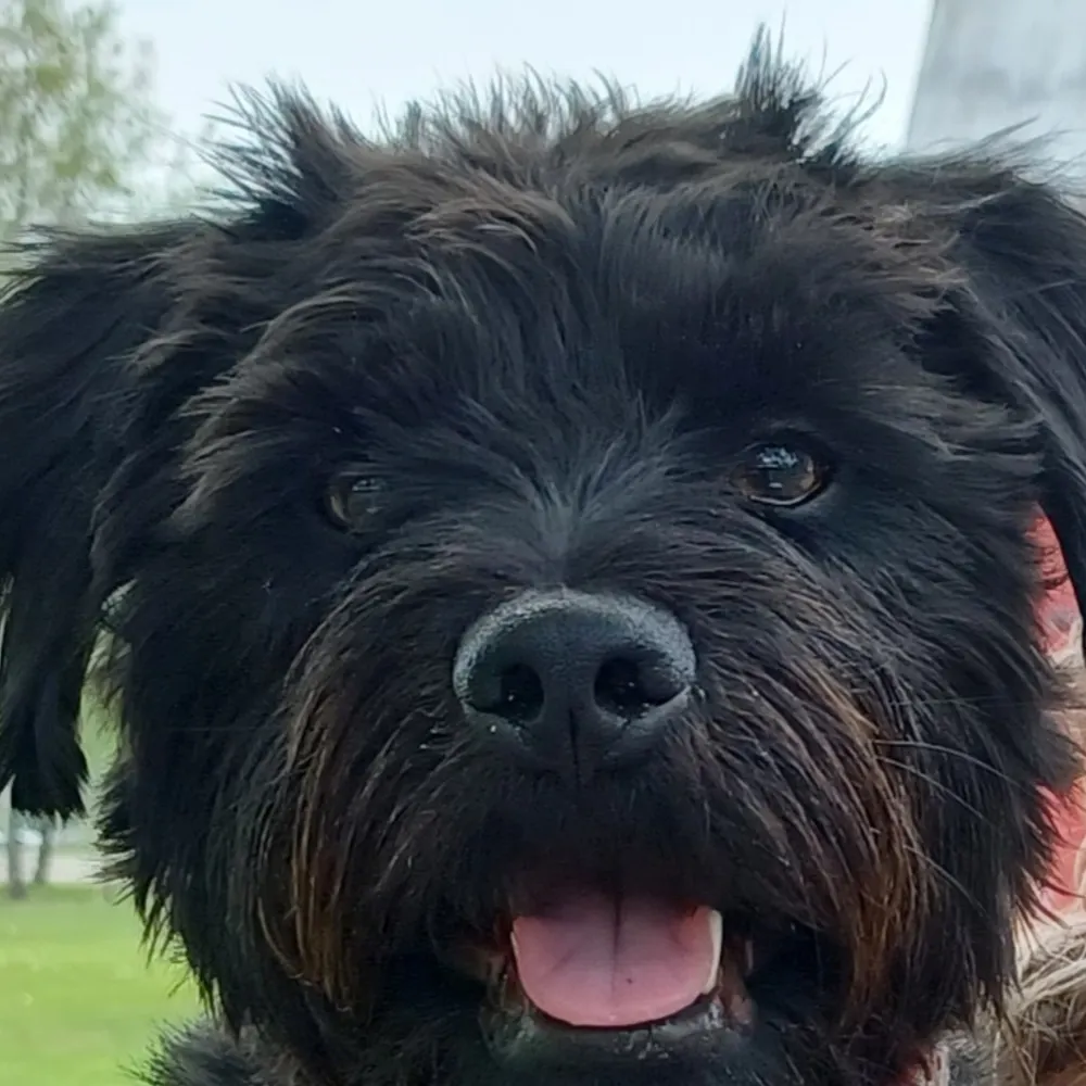 ltsavik.bsky.social's profile picture