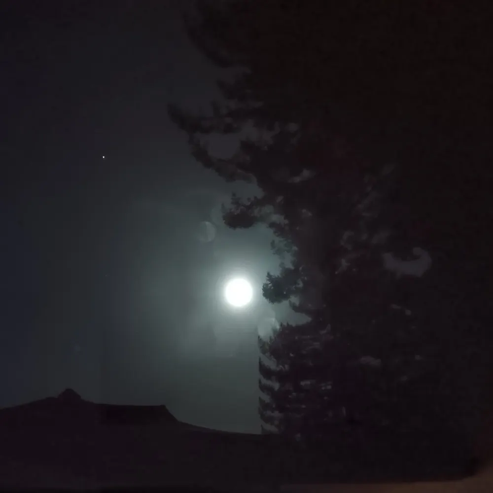 scipionow.bsky.social's profile picture