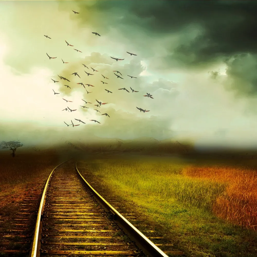 cigure.bsky.social's profile picture