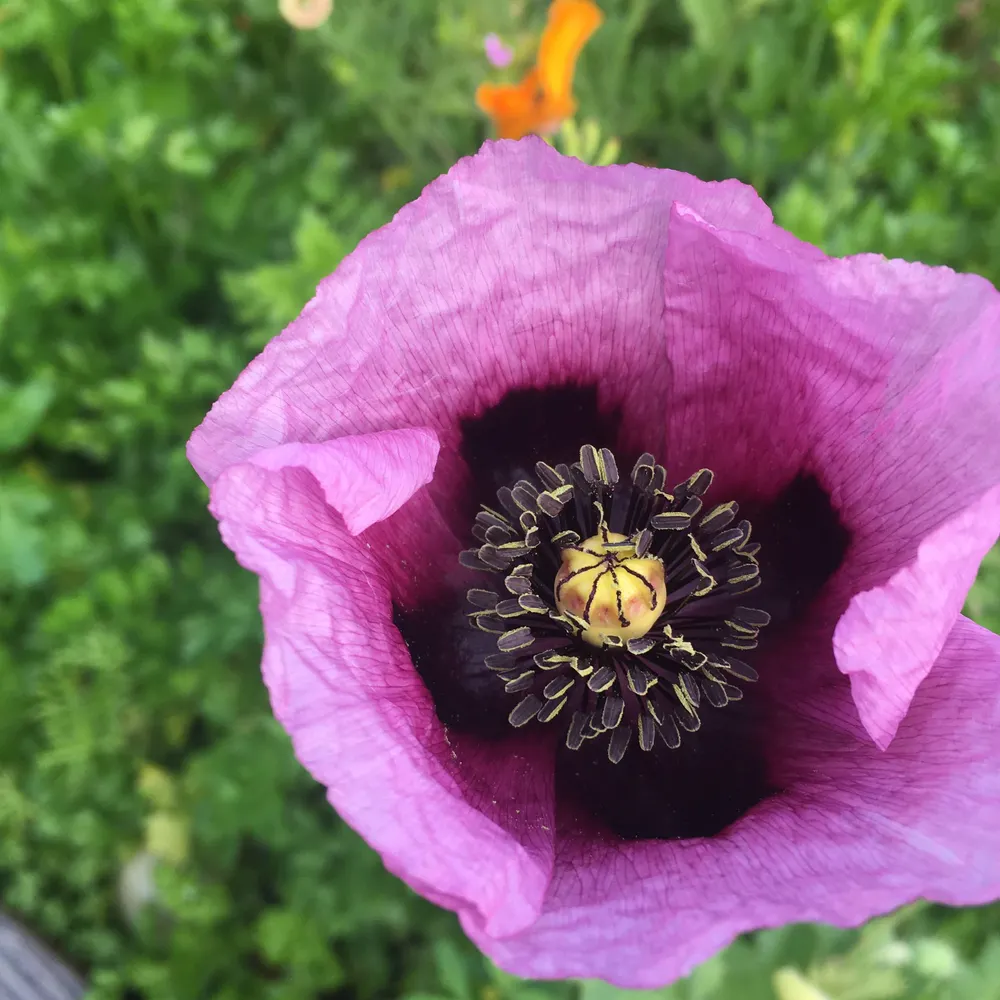 catalystakaze.bsky.social's profile picture