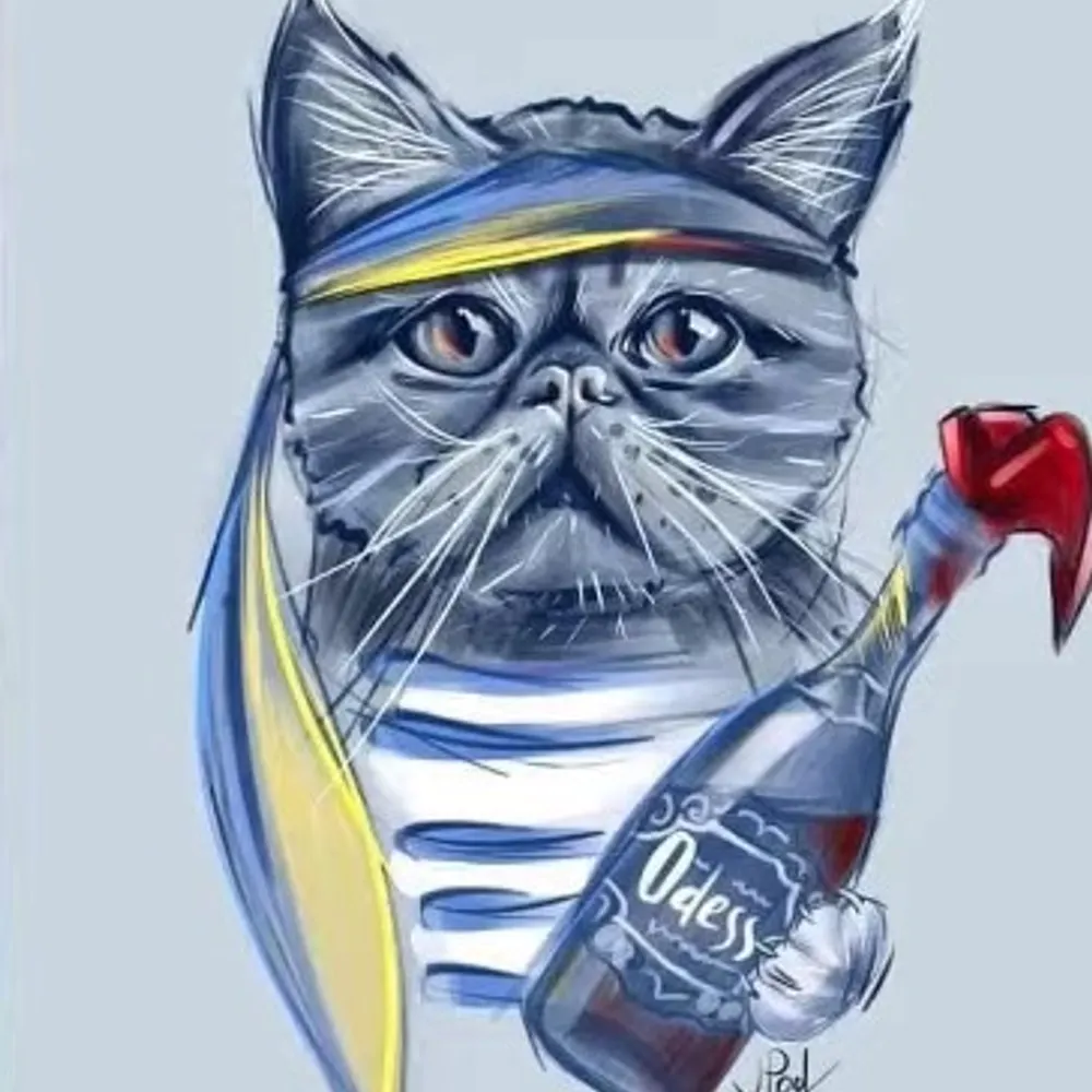 rob-feralcatdude.bsky.social's profile picture