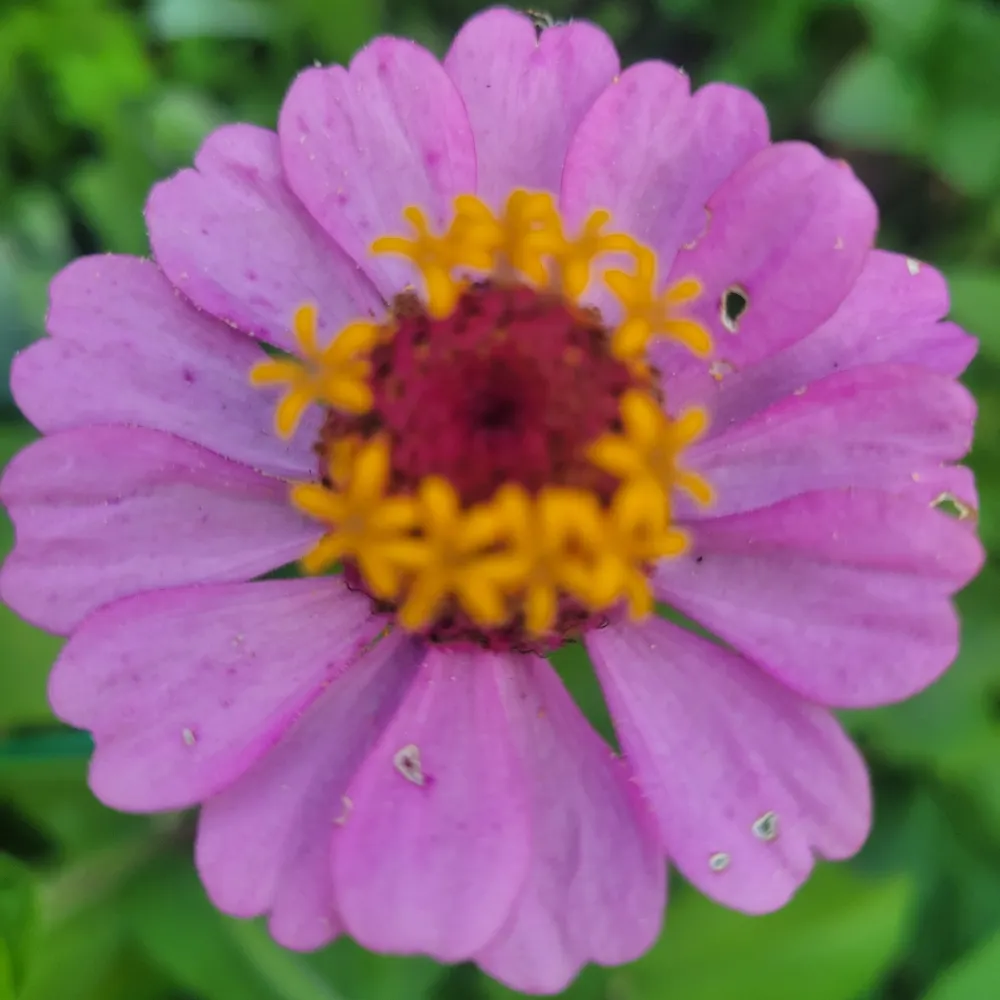 hiann.bsky.social's profile picture