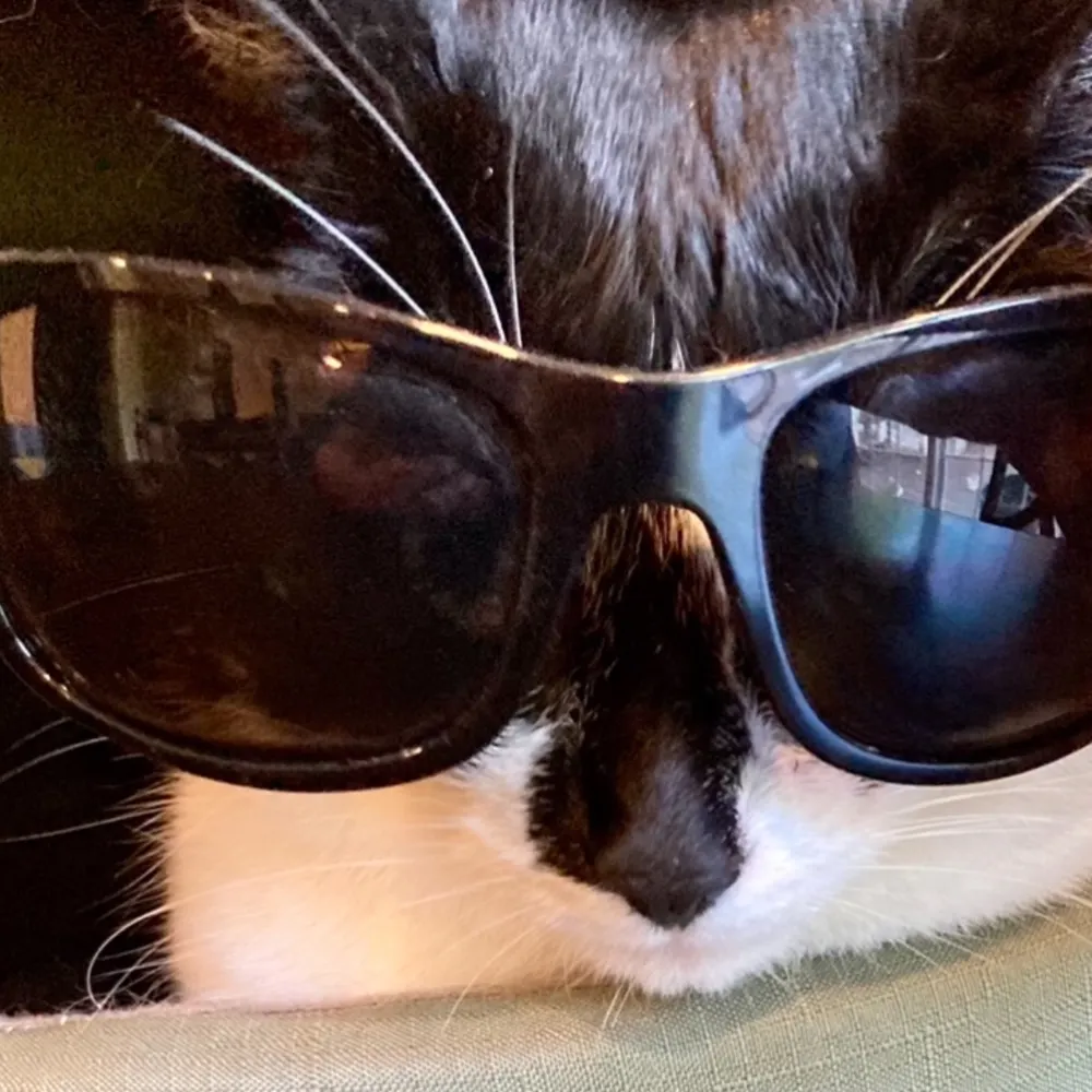 poppy1234567.bsky.social's profile picture