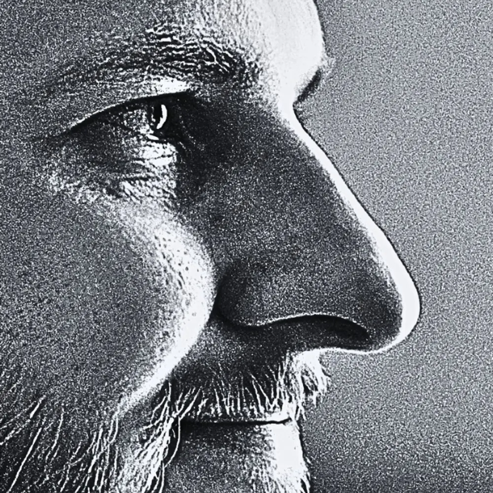 nosecomplaint.bsky.social's profile picture