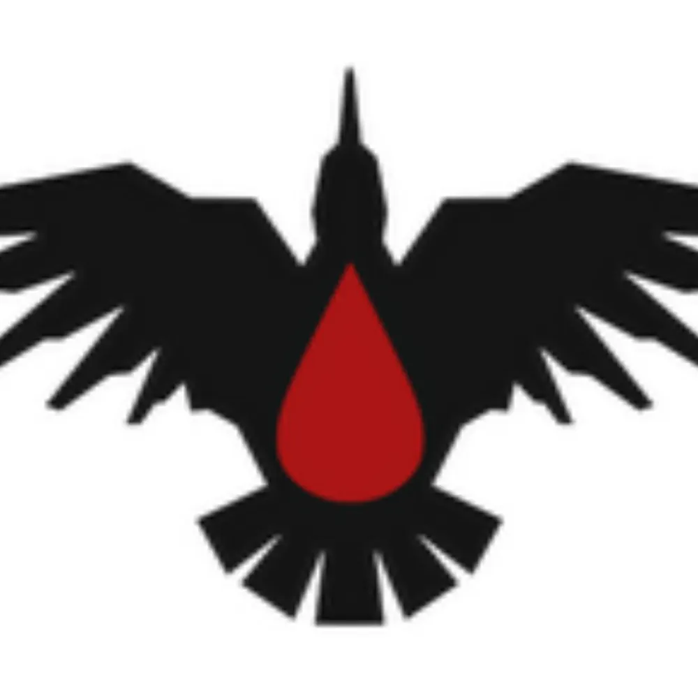 bloodravenlib.bsky.social's profile picture