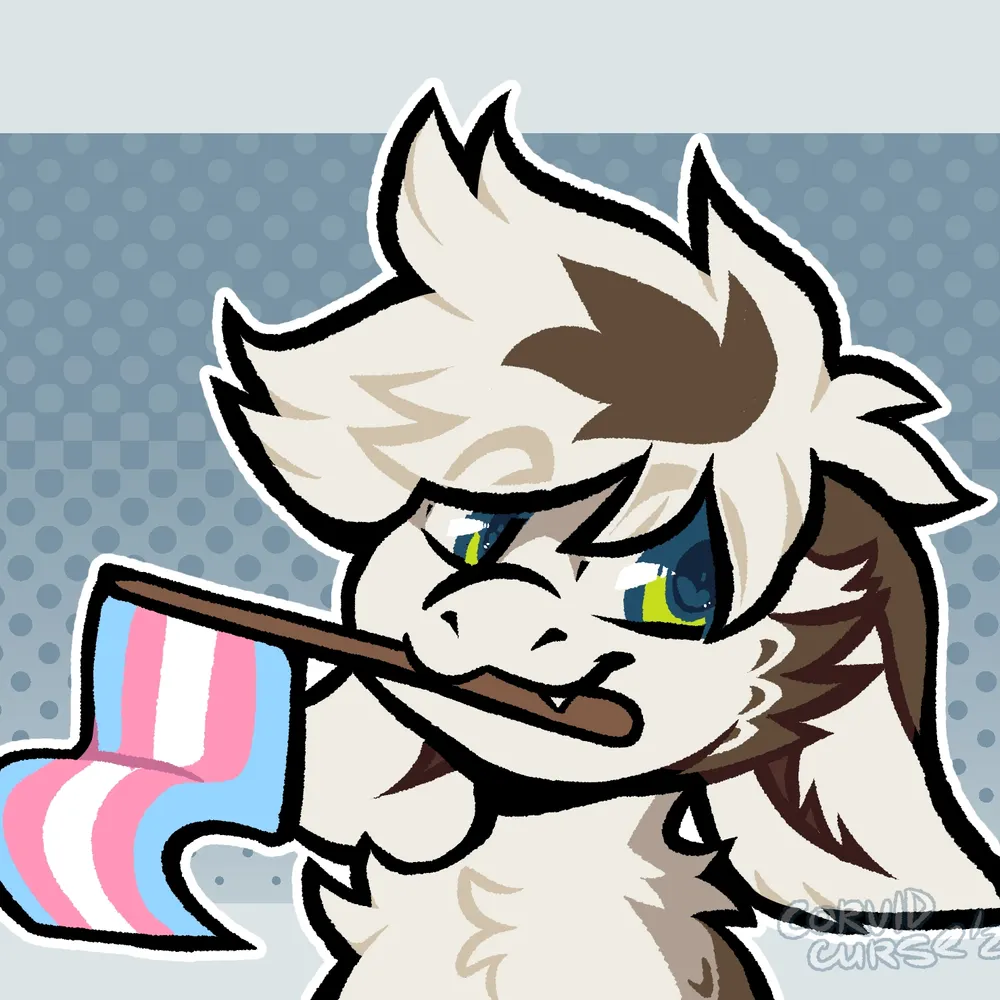 swapsy.bsky.social's profile picture