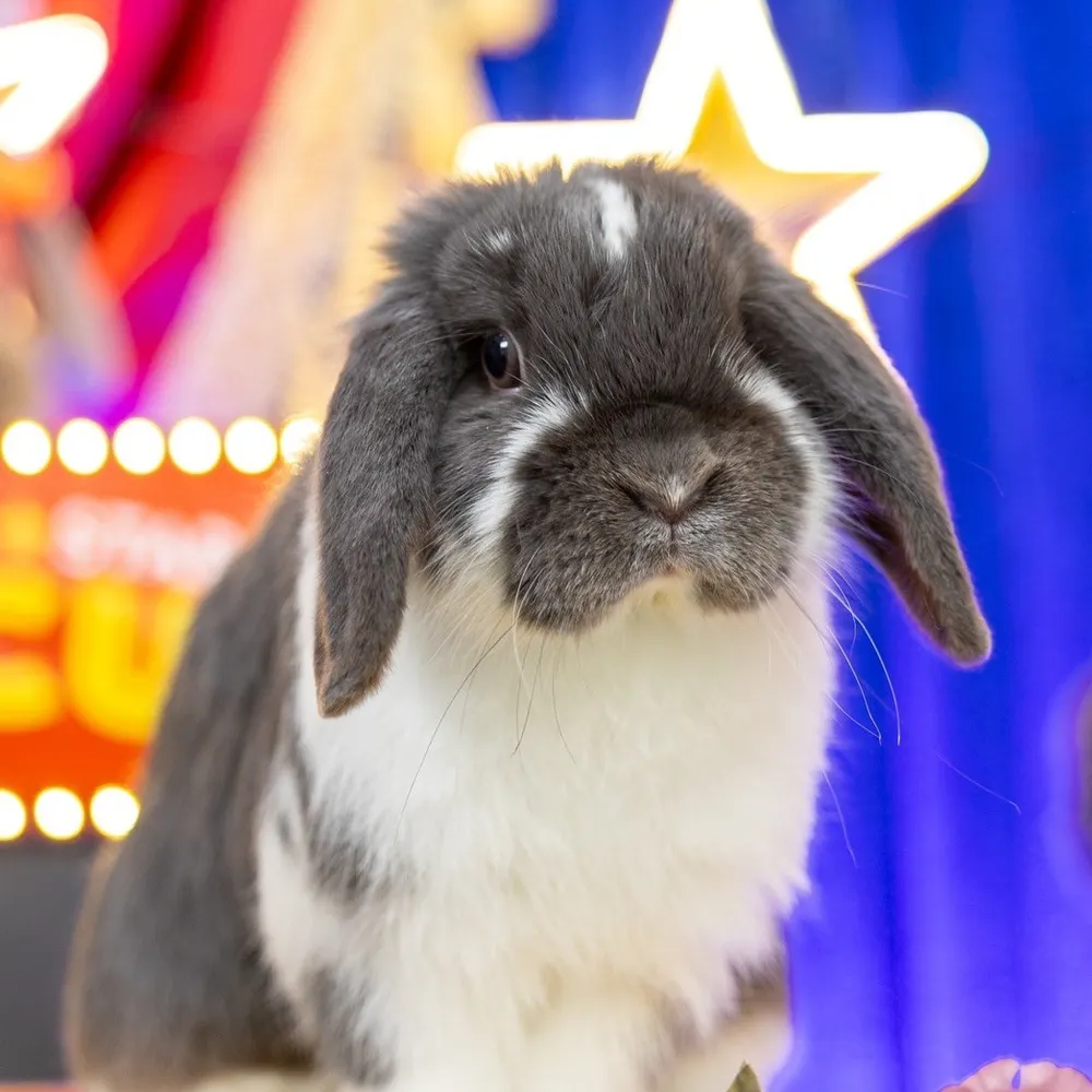 gomashio1220.bsky.social's profile picture