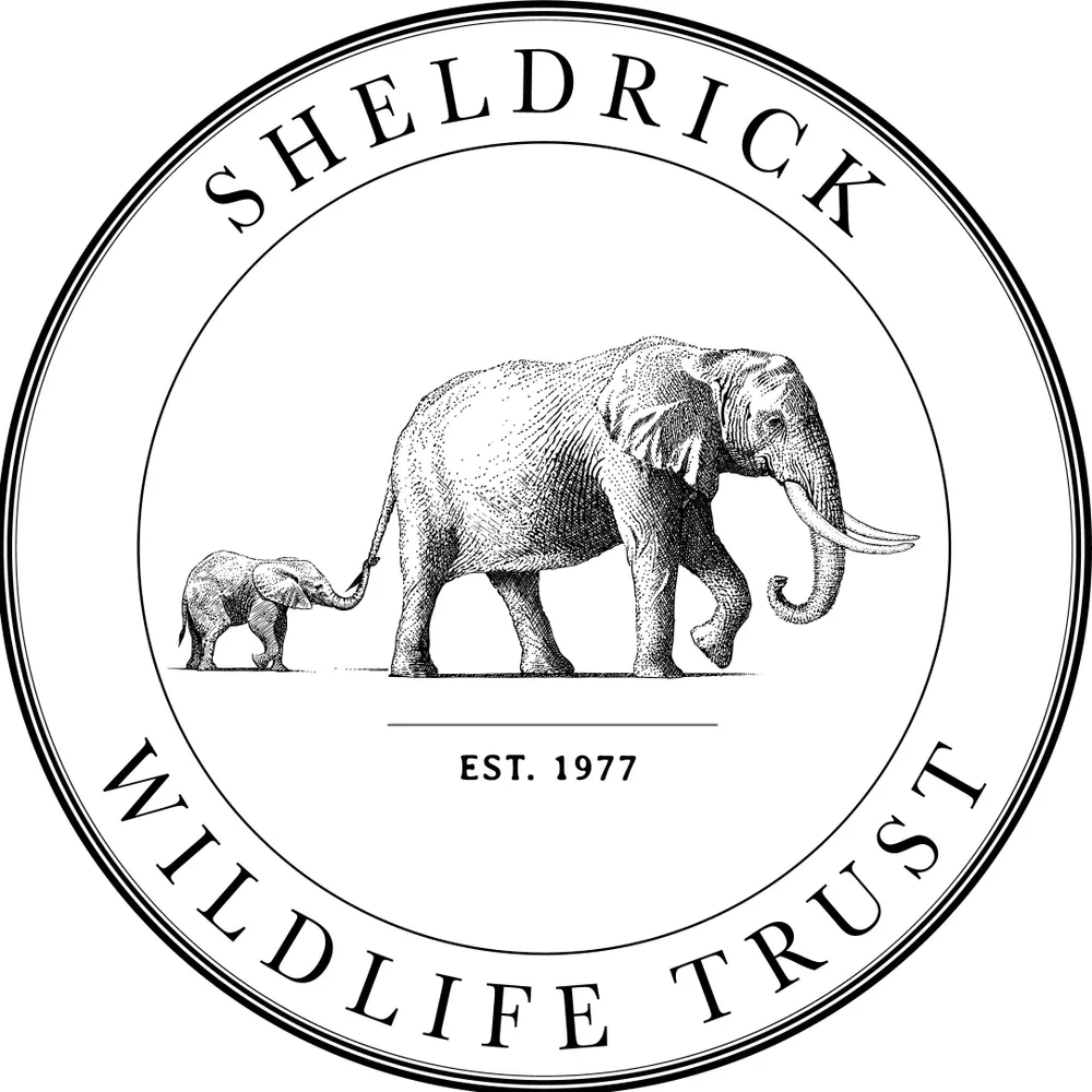 sheldricktrust.bsky.social's profile picture