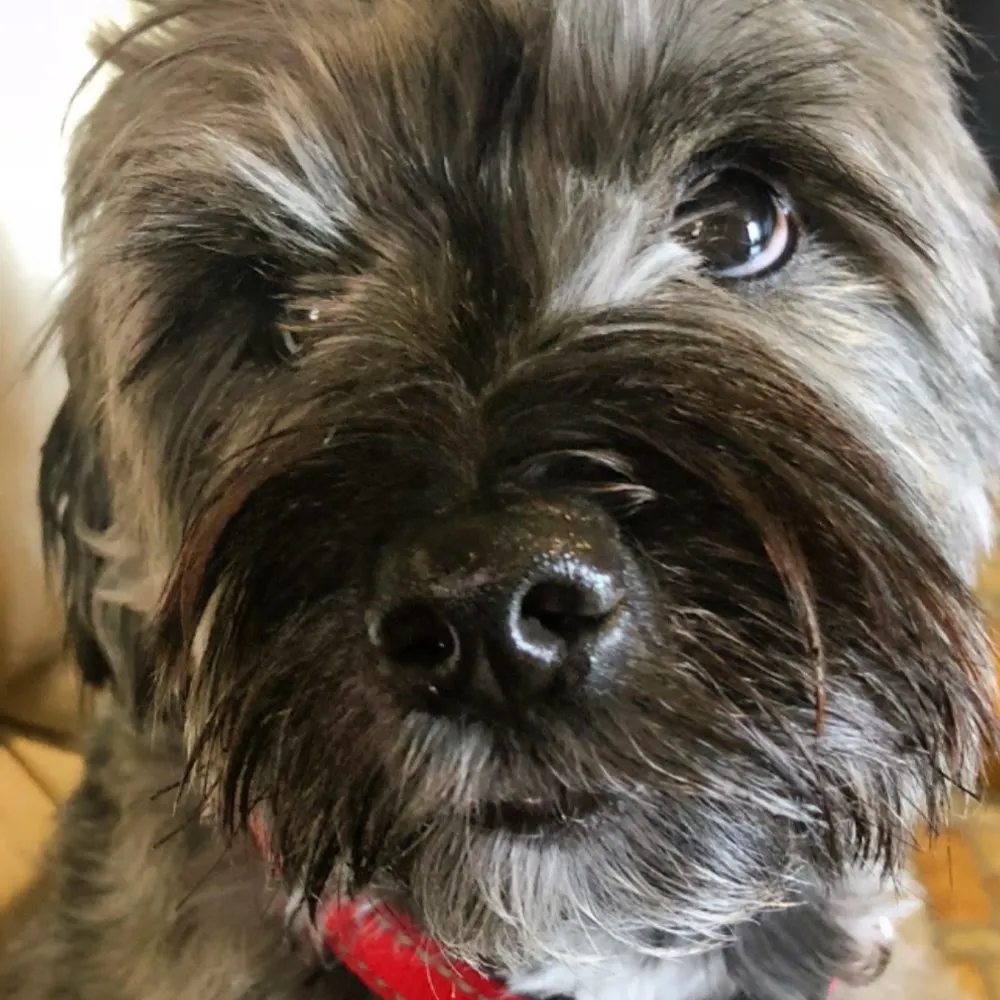 daynaatthelake.bsky.social's profile picture